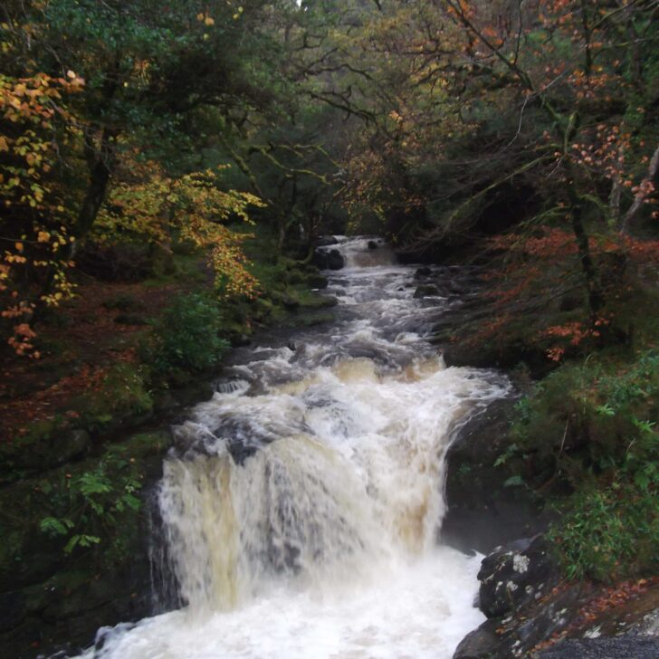 Above the Torc Waterfall on the track