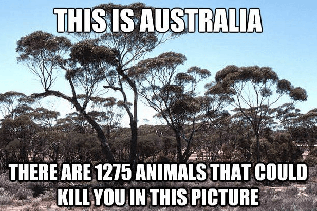Reasons to never visit Australia
