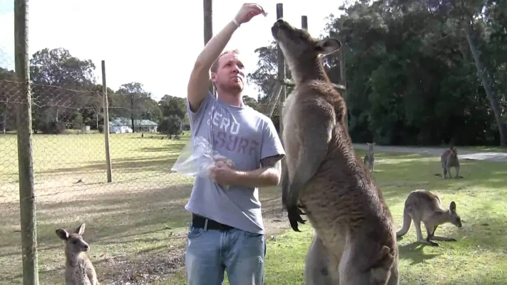 Reasons to never visit Australia.