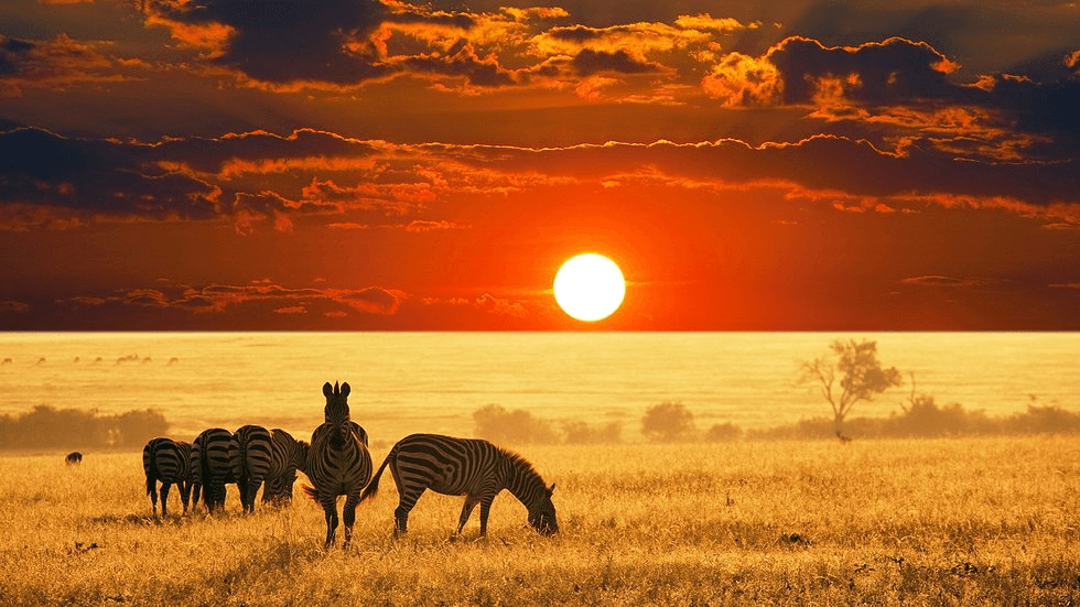 Tanzania - Best Sunset Locations Around The World