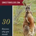 30 Reasons to never visit Australia