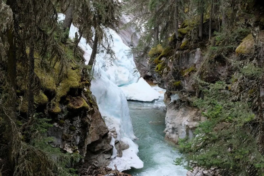 The Johnston Canyon trail snow in May