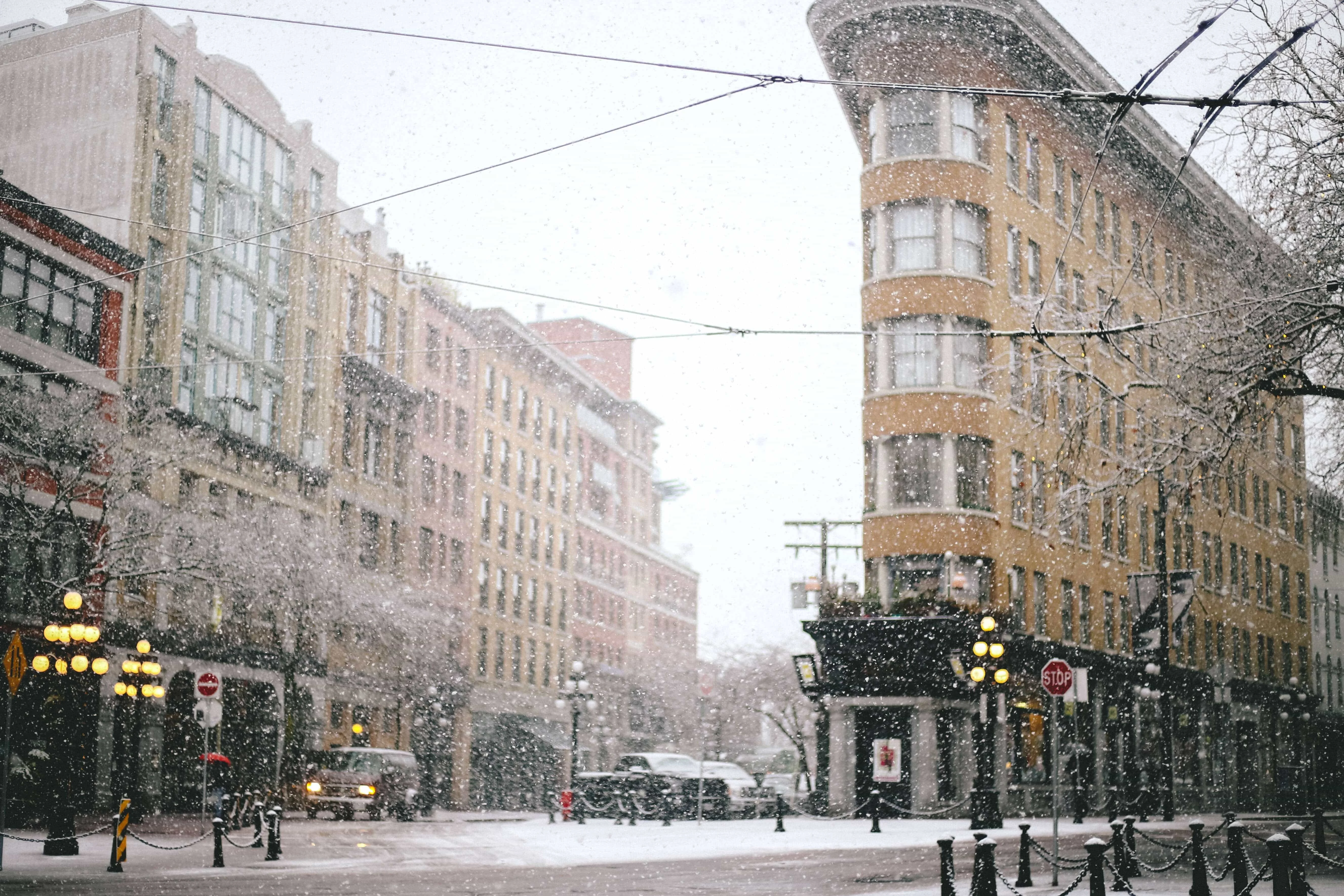 Snow in downtown! 