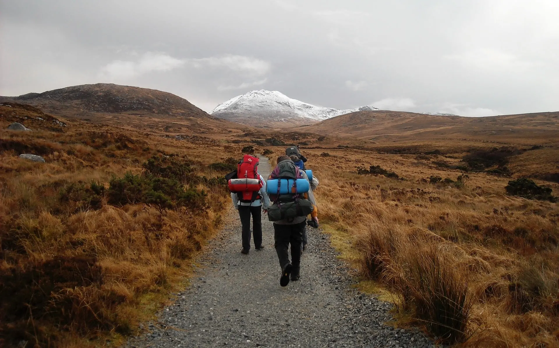 Learn everything you need to know about Ireland's climate including average temperatures, the best time to visit, and tips before you visit Ireland