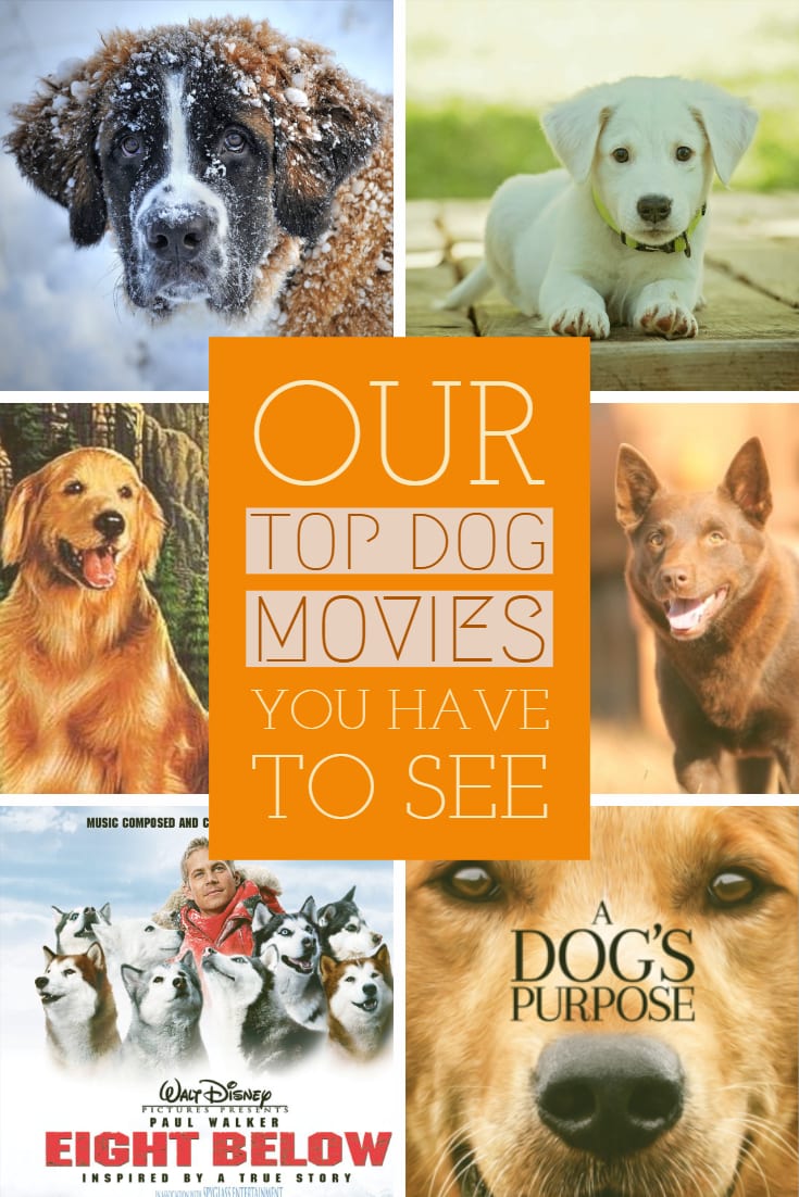 Top 10 Best Dog Movies Of All Time - Our Favourites