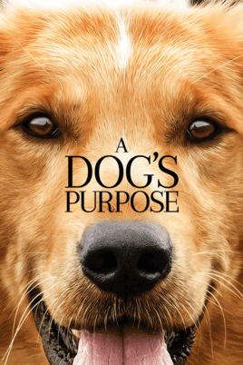 a dogs purpose has to be one of our all time fav movies about dogs