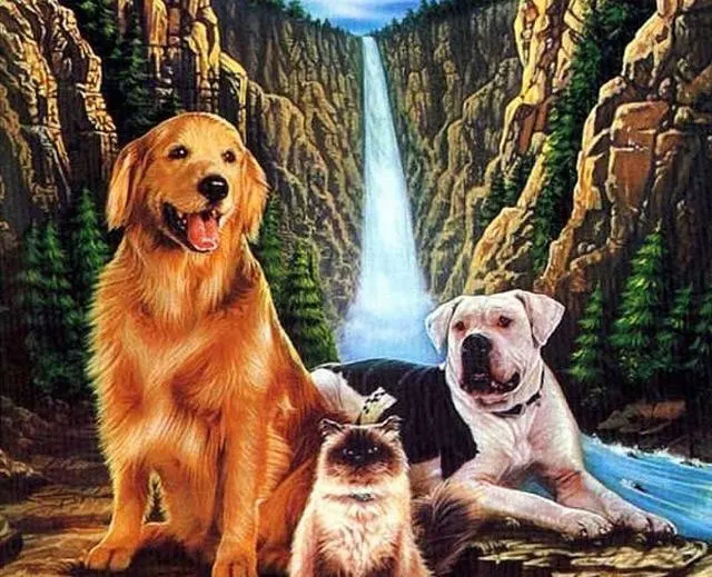 Best dog movie to watch Homeward bound