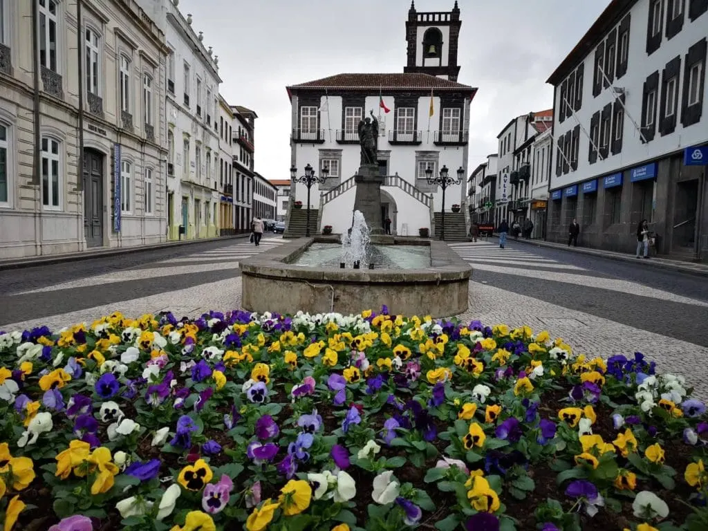 Colourful spring flowers in a town square on São Miguel in the Azores