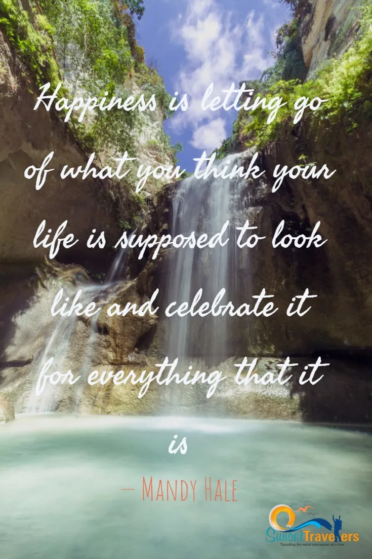 Happiness is letting go of what you think your life is supposed to look like and celebrate it for everything that it is. - Mandy Hale