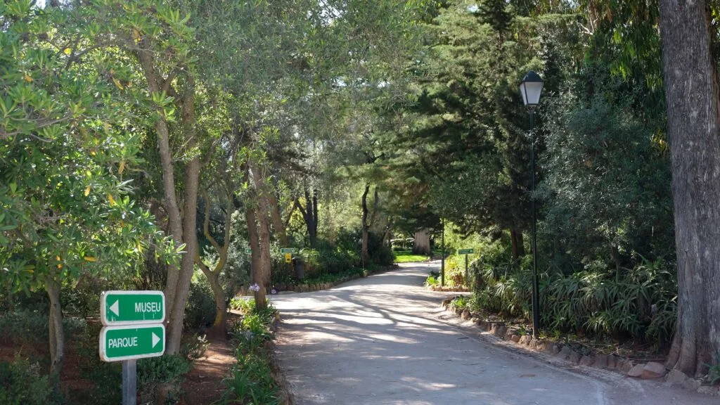 Peacock park -Have a stroll around Parque Marechal Carmona 