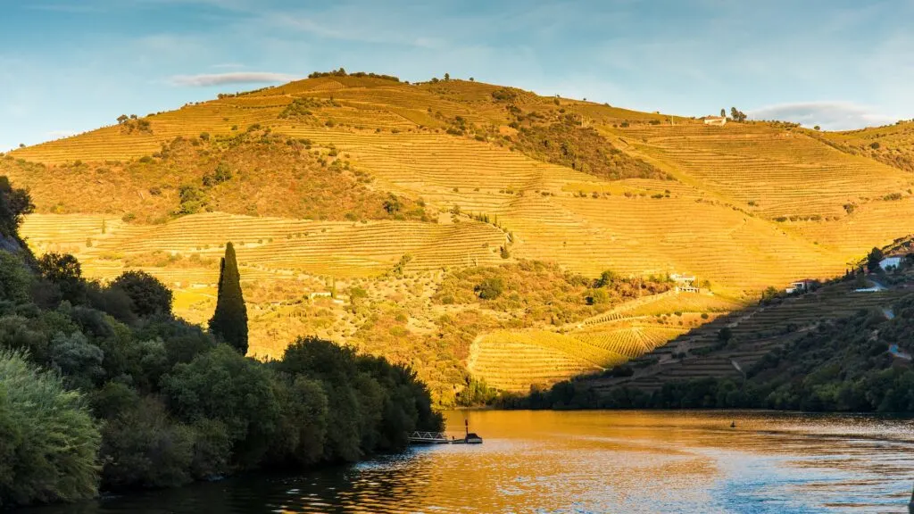 Terraced vineyards in the Douro Valley, Portugal