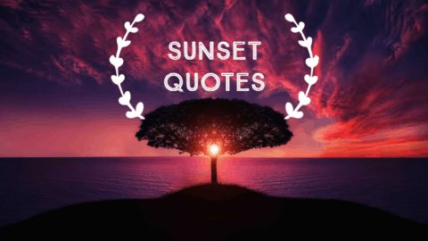 50 Quotes About Sunsets - Inspirational Sunset Quotes