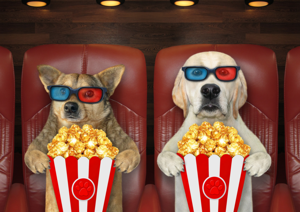 Top 10 Best Dog Movies Of All Time - Our Favourites