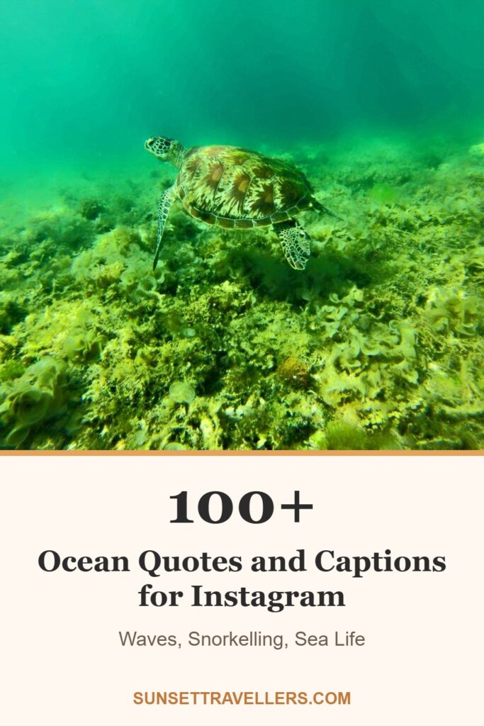 100+ ocean quotes and captions for Instagram: waves, snorkelling, sea life