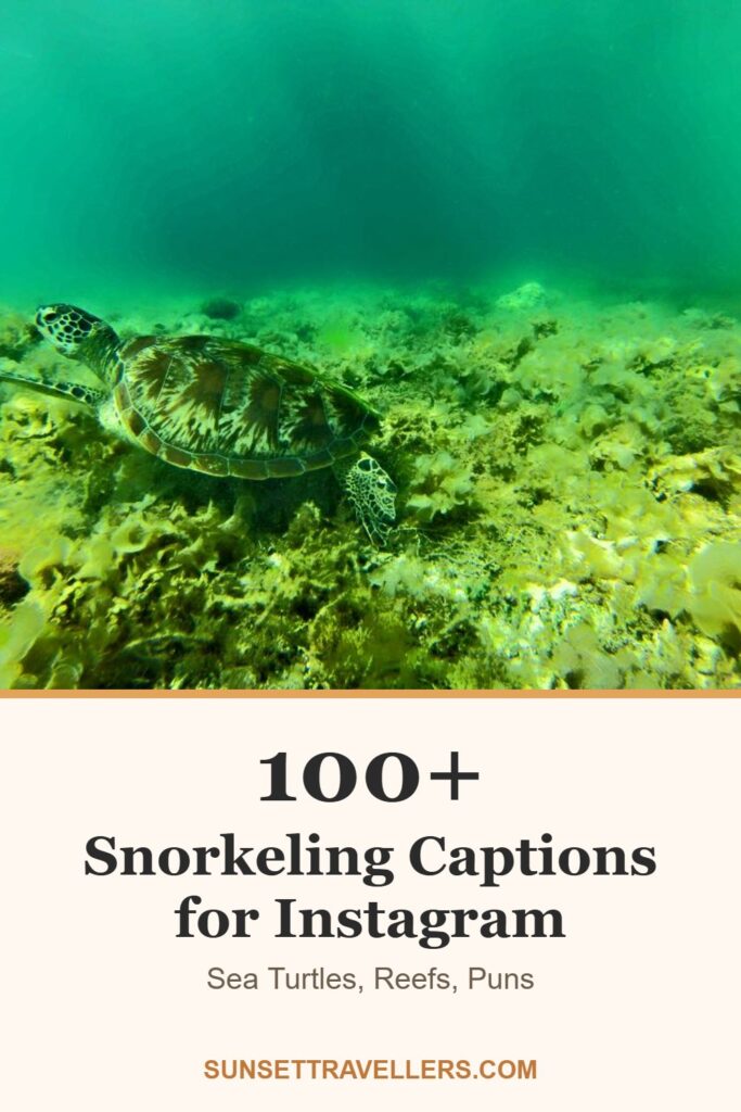 100+ snorkeling captions for Instagram: sea turtles, reefs, puns
