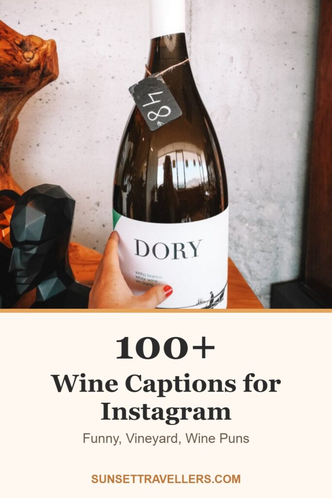 100+ wine captions for Instagram: funny, vineyard, wine puns